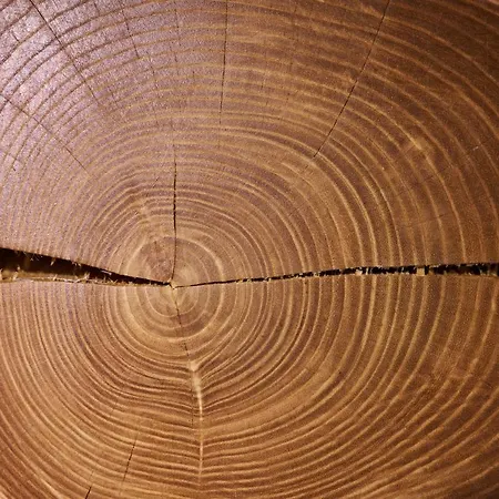 Πανσιόν Na Trati Crna na Koroskem