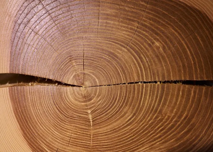 Gostinjska kuća Na Trati Crna na Koroskem